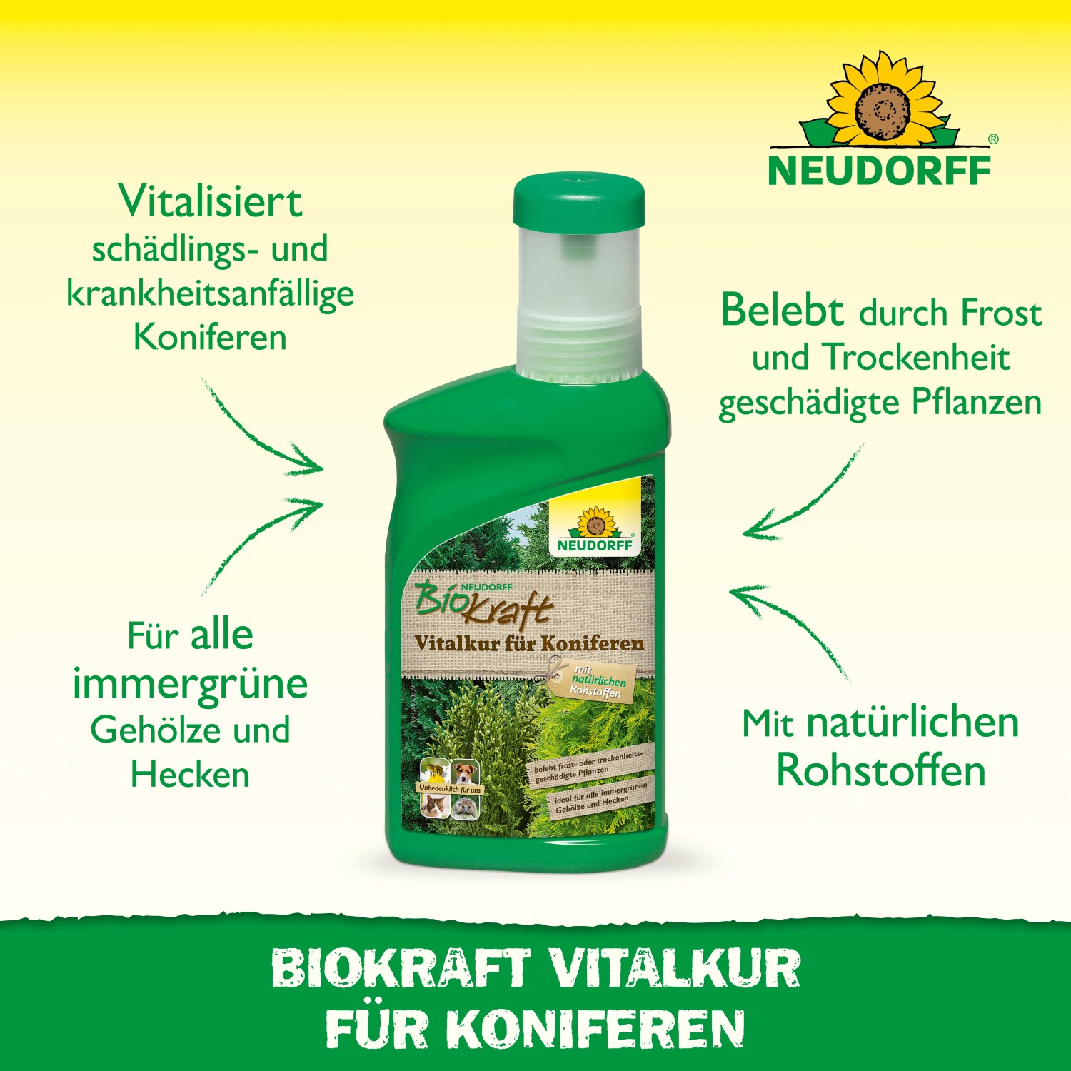 Neudorff BioKraft Vitalkur für Koniferen, 300ml Flasche. Pflanzenstärkungsmittel für gesunde Koniferen.