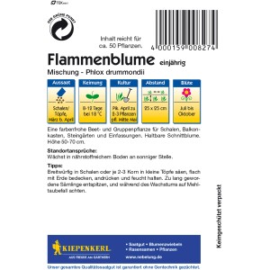 Kiepenkerl Flammenblume Mischung, mehrfarbig, Packung Blumensamen mit Infos zu Aussaat und Pflege.