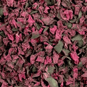 Getrocknete, dunkelrote Supravit Rote Beete Chips als Pferdeleckerli. Unregelmäßige Gemüsestücke für Pferdefutter.