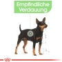 Royal Canin Trockenfutter Digestive Care Mini für Hunde mit empfindlicher Verdauung, 3 kg.
