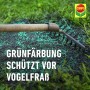 Compo Saat Trocken-Rasen: Grüne Rasensamen mit Rechen auf Erde, schützt vor Vogelfraß.