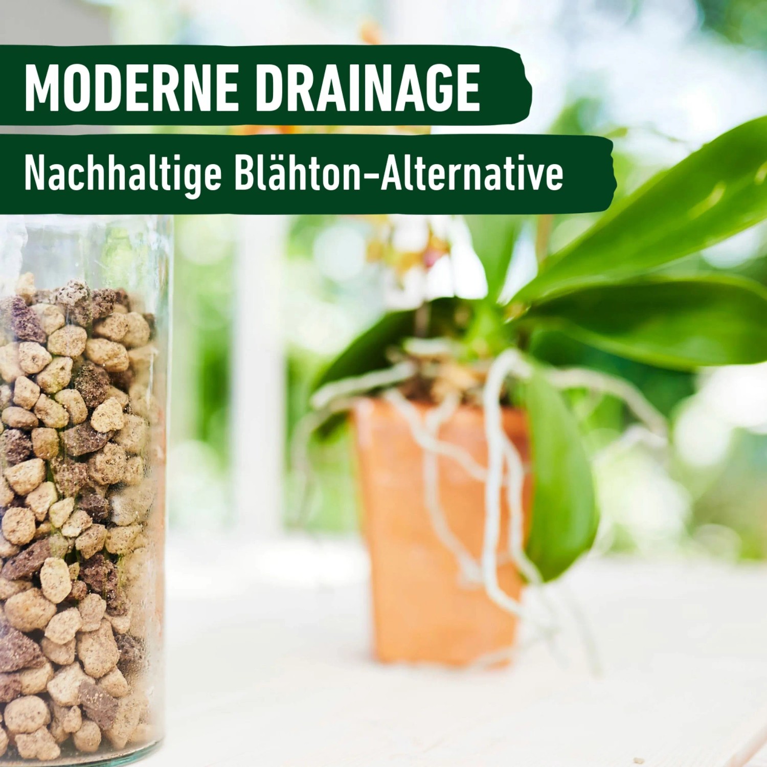 Compo Bio Granuplant Orchideen Substrat 3 l kaufen bei OBI