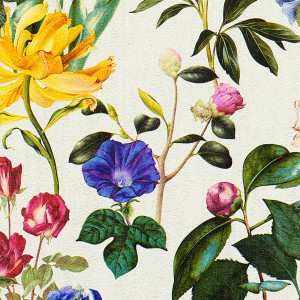 AS Creation selbstklebende Tapete mit Blumenmuster in Beige und bunten Farben, 250x52 cm.
