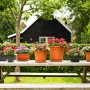 Verschiedene bepflanzte Blumenkästen und -töpfe der Marke Florus auf einem Tisch im Garten.