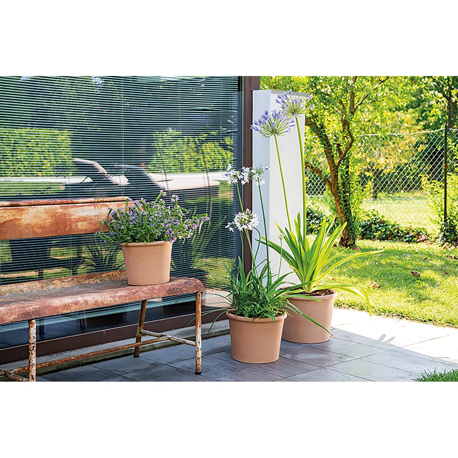 Deroma Pflanztopf Zylinder Bordato, 23 cm, weiß, aus Terrakotta, mit Pflanzen befüllt im Garten.