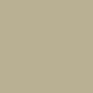CREATE! by OBI Wandfarbe Fred Salbeibeige, matte Innenfarbe.