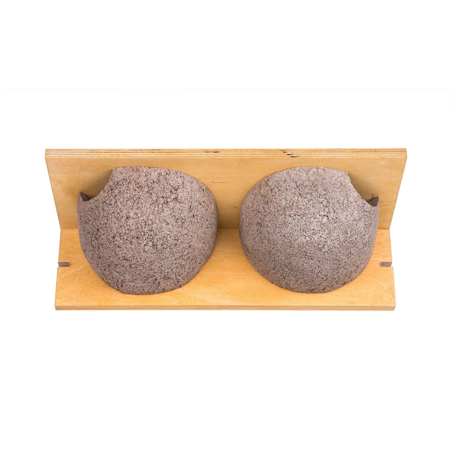 BigDean Schwalbennistkasten Doppelnest Schwalbennest Mehlschwalbennest Nistkasten Nisthilfe Schwalben Holzbeton