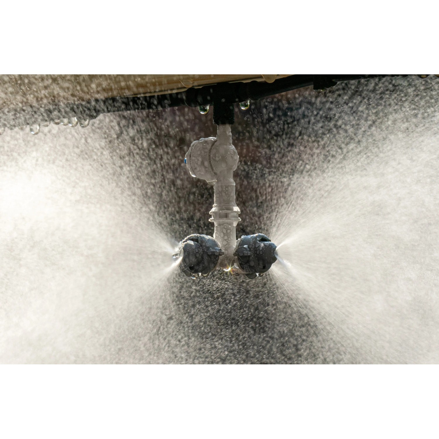 Elgo Dunstkühlungssystem für Gewächshäuser, erzeugt feinen Nebel zur Abkühlung und Erhöhung der Luftfeuchtigkeit.