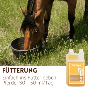 Braunes Pferd frisst aus Eimer auf Wiese. Supravit Reiskeimöl Liquid Pferdefutter in Flasche für Muskelaufbau.