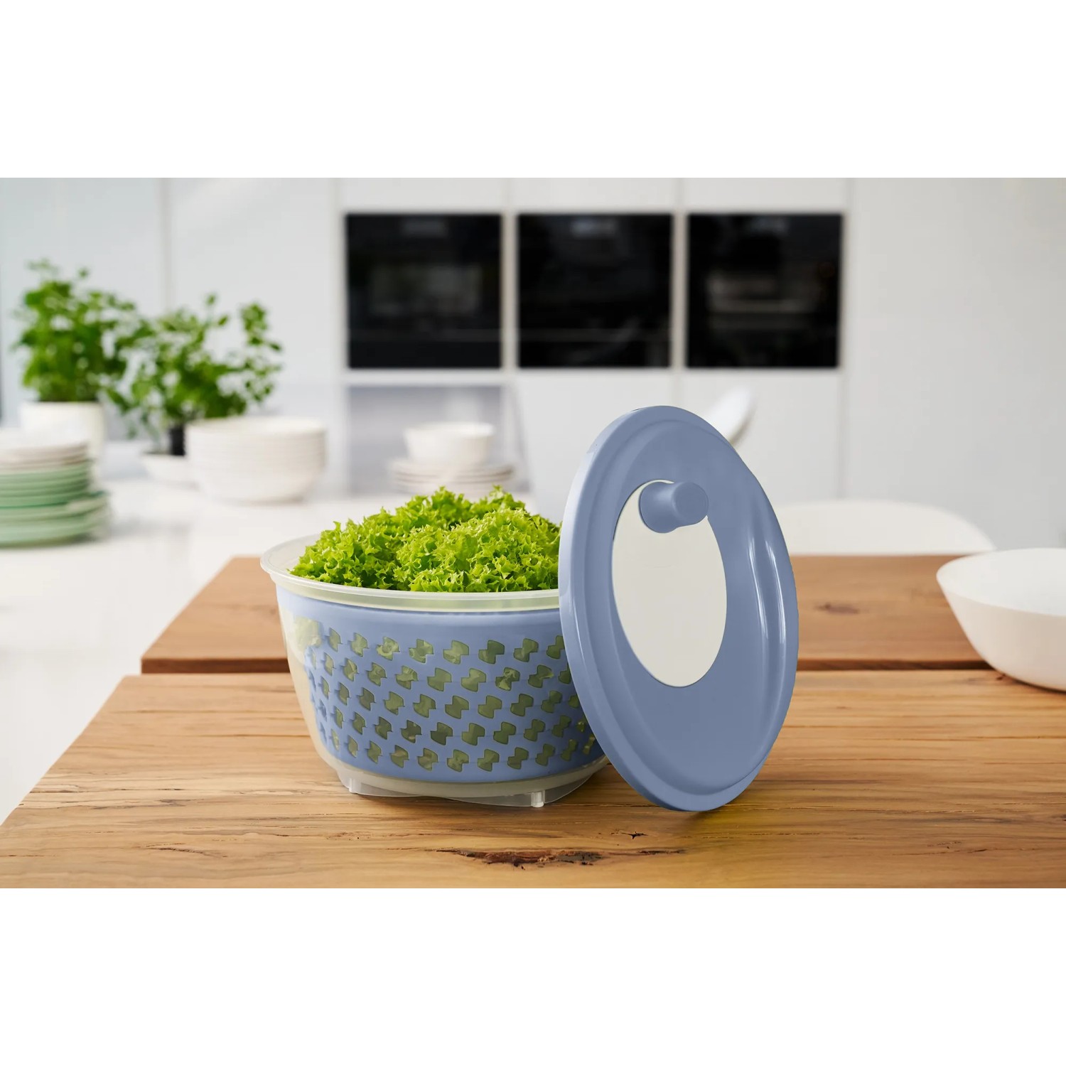 Rotho Salatschleuder Fresh 4,5 l in Horizontblau mit Salat und Deckel.