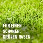 Nahaufnahme von saftig grünem Rasen. Compo Rasen Nachsaat Turbo für dichten, neuen Rasen.