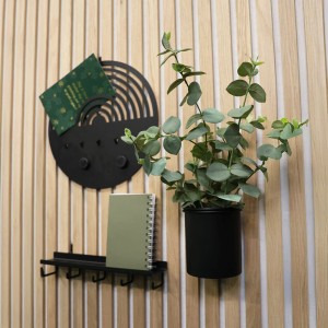 Schwarzes Denpanels Regal mit 5 Haken an Akustikpaneel mit Deko.