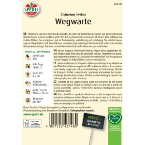 Sperli Saatgut Wegwarte: mehrjährige, bienenfreundliche Blumensamen mit hellblauen Blüten, Höhe ca. 80cm.
