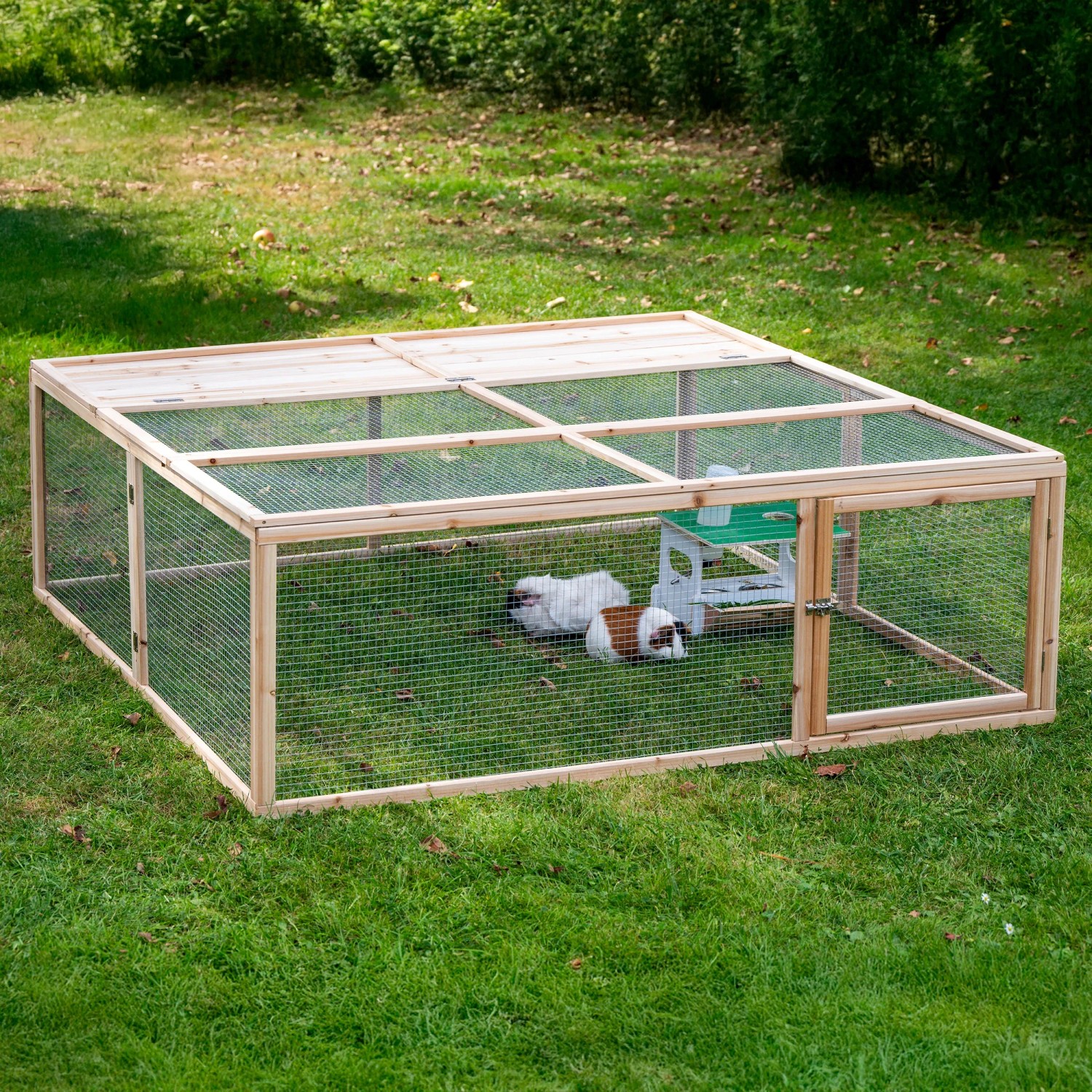 Aufklappbares, 4-eckiges Freilaufgehege aus Holz (148x148x50cm) mit Meerschweinchen im Garten.