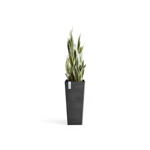 Ecopots Pflanztopf Rotterdam hoch Dunkelgrau 70 cm