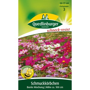 Quedlinburger Schmuckkörbchen, bunte Mischung mit rosa, roten und weißen Blüten.