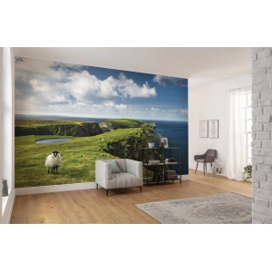 Vlies Fototapete Green Ireland, 450x280 cm, mit irischer Landschaft und Schaf.