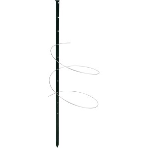 Bellissa Pflanzstab Timo, 150 cm, grün, mit Rankhilfe-Draht. Ideal als Rankhilfe.