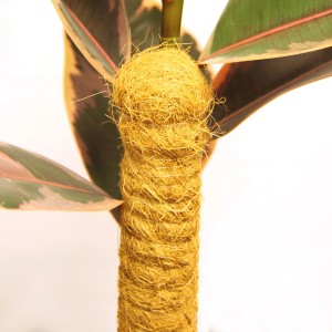 Bellissa Kokosstab 80cm als Rankhilfe für Pflanzen im Garten oder als Stütze im Topf.