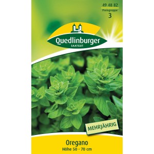 Quedlinburger Oregano Dost Samen: Mehrjährige, aromatische Kräutersamen für den Garten.