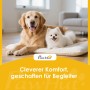 PawHut: Golden Retriever und weißer Hund liegen entspannt auf Kissen. Cleverer Komfort für Hunde.