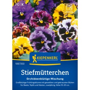 Kiepenkerl Saatgut Stiefmütterchen Orchideenblütige Mischung