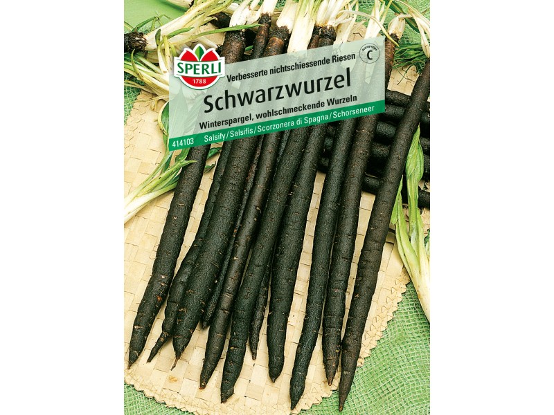 Sperli Schwarzwurzel "Verbesserte nichtschiessende Riesen" kaufen bei OBI