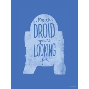 Komar Wandbild Star Wars R2D2 30 x 40 cm gerollt