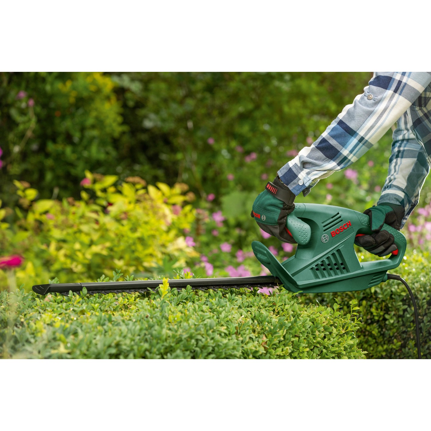 Bosch EasyHedgeCut 45 Elektro-Heckenschere in Aktion beim Heckenschnitt.