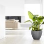 Ecopots Pflanztopf Antwerp Grau 40 cm mit grüner Pflanze im modernen Wohnraum.