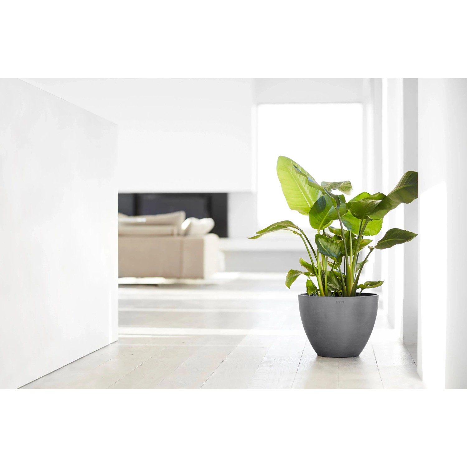 Ecopots Pflanztopf Antwerp Grau 40 cm mit grüner Pflanze im modernen Wohnraum.
