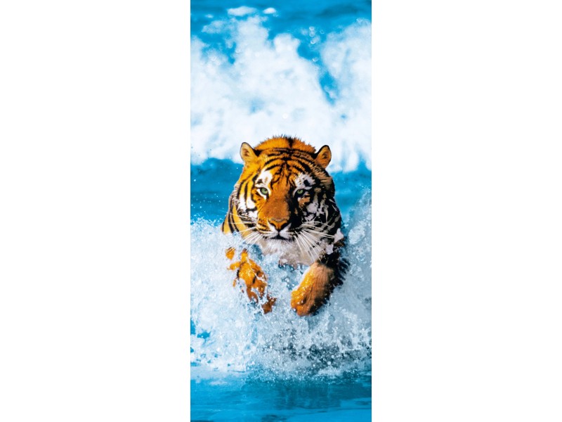 Poster bei kaufen Tiger OBI Bengal