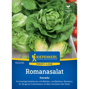 Kiepenkerl Romanasalat Xanadu: Kompakter, grüner Mini-Romanasalat, resistente Sorte.