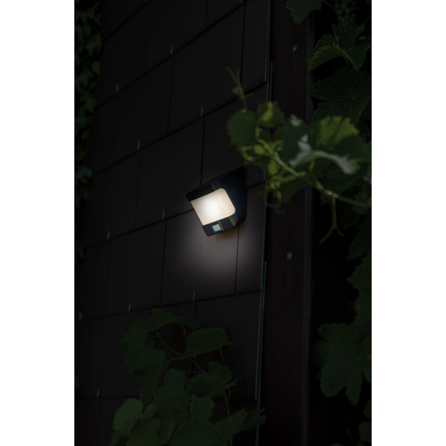 Lutec LED-Solar Wandleuchte Try, mattschwarz, mit Bewegungsmelder. Außenleuchte für den Garten.