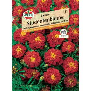 Samenpackung Studentenblume Carmen von Sperli mit braunroten Blüten und gelber Mitte.