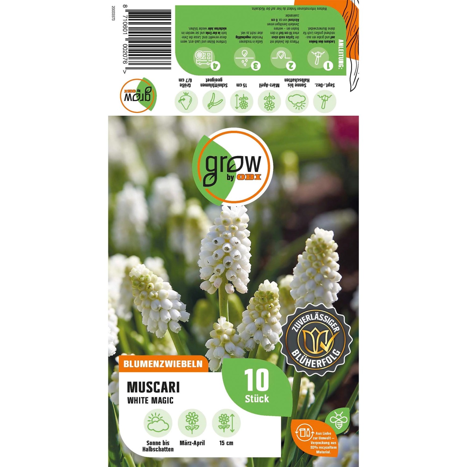 Verpackung GROW by OBI Traubenhyazinthe White Magic, weiße Blüten, 10 Stück Blumenzwiebeln.