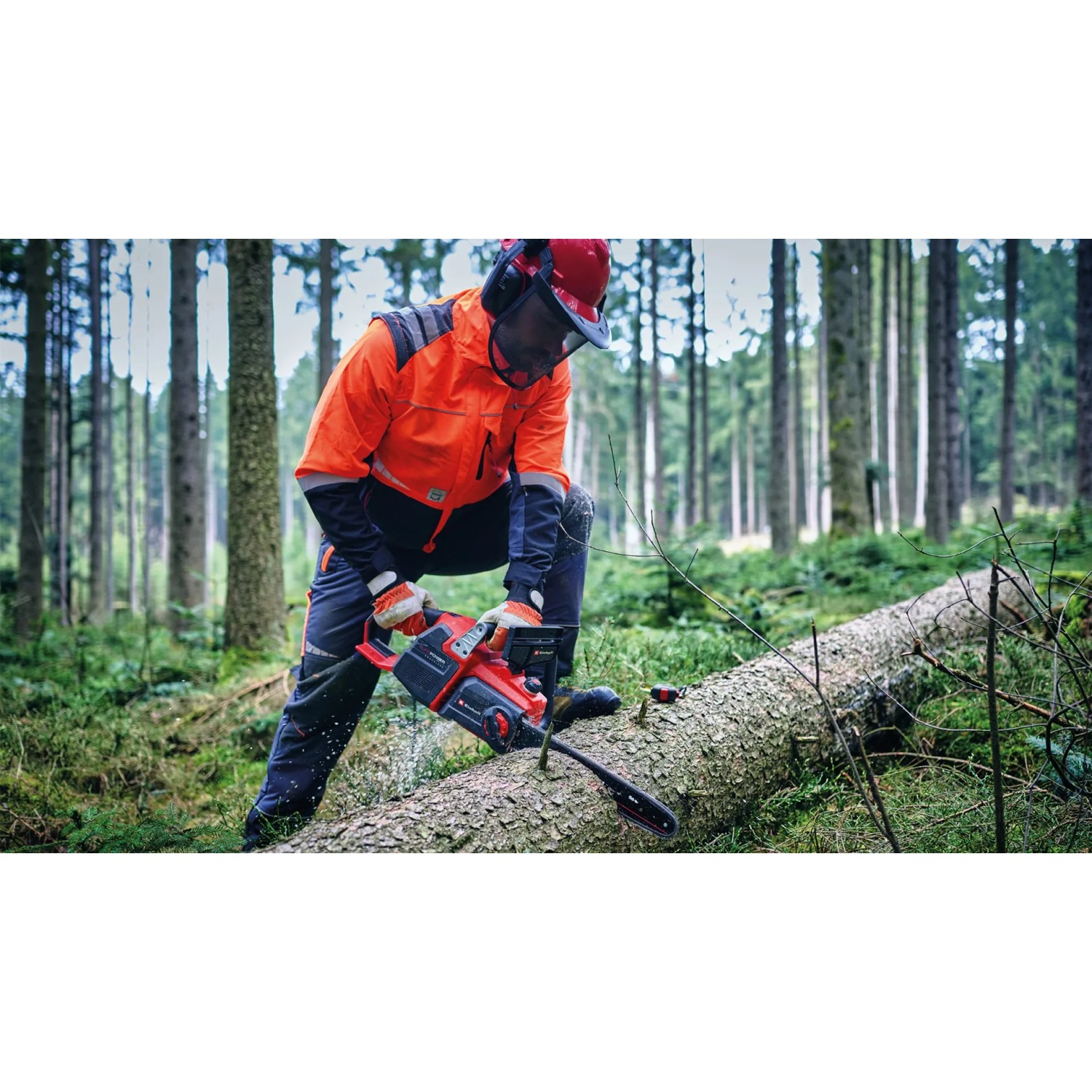 Einhell Akku-Kettensäge GP-LC 36/40 Li BL-Solo beim Sägen eines Baumstamms im Wald.
