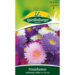 Quedlinburger Prinzeßaster Mischung: Einjährige Blumensamen in verschiedenen Farben.