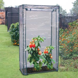 Tomatenhaus 100x50x150 cm mit Tomatenpflanzen im Garten.