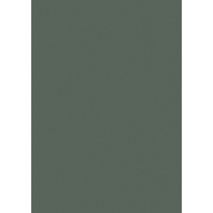 Kaindl Wandabschlussprofil 300 cm x 2,4 cm Verde