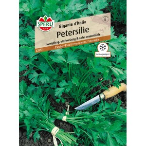 Sperli Petersilie Gigante d'Italia: Aromatisches Kraut mit glatten, grünen Blättern, ideal zum Einfrieren.