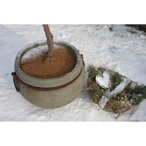 Videx Garden Kokosscheibe (Ø 25cm) im Topf, schützt vor Frost und Austrocknung.