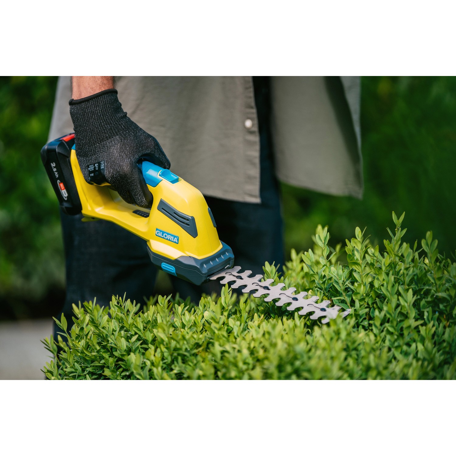Gloria FineCut Compact Akku-Gras- und Strauchschere im Einsatz an einer Hecke.