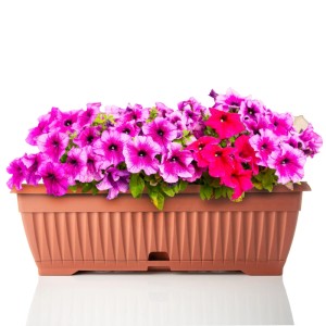 BigDean Blumenkasten Mit Abnehmbarem Untersetzer Terracotta 50 Cm Lang Aus Bruchsicherem Kunststoff Balkonkasten Pflanzkasten Mit Wasserspeicher