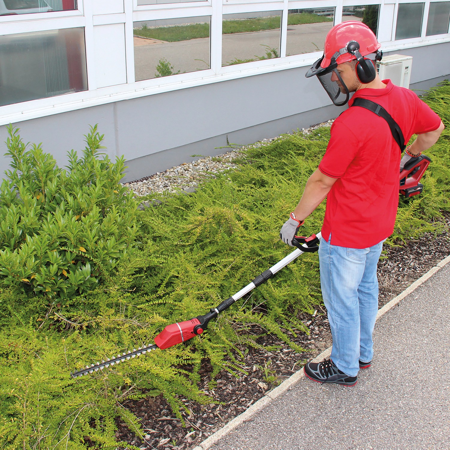 Einhell Akku-Hochentaster GE-HC 18 Li T Solo beim Heckenschnitt. Teleskopierbar für hohe Hecken.