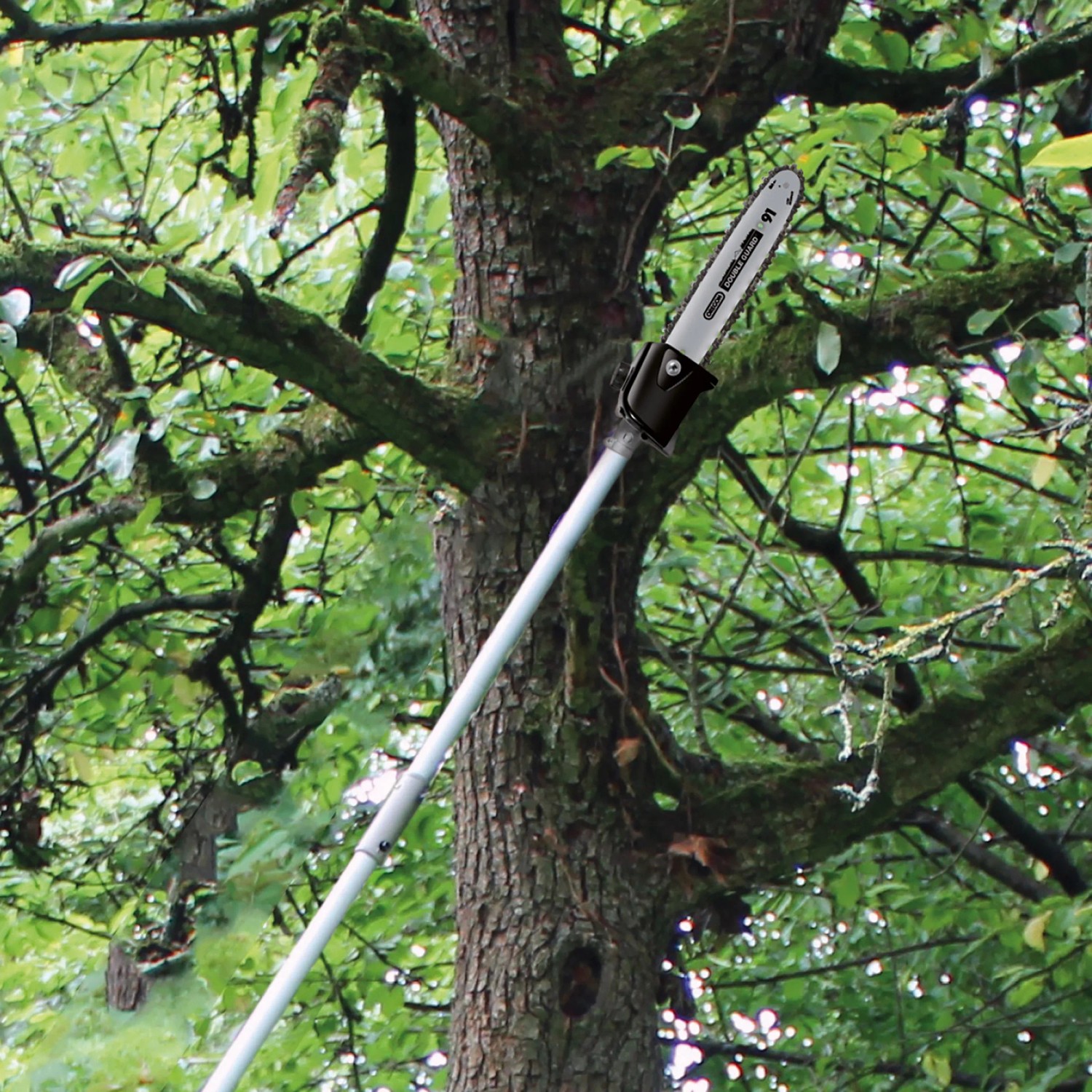 Einhell GC-MM 52 I AS Benzin-Multifunktionswerkzeug als Hochentaster im Einsatz.