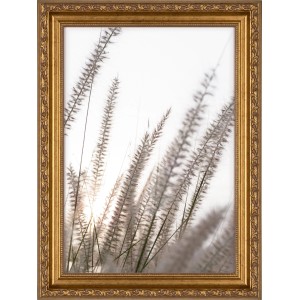 Goldener Barock Bilderrahmen aus Holz, 21x29,7 cm, für Fotos und Kunstdrucke.