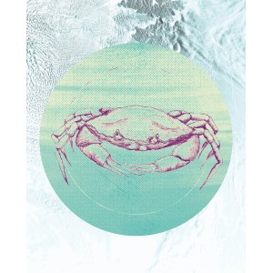Komar Wandbild Crab Sea (40x50 cm) mit Krabben-Motiv in Blau und Lila.