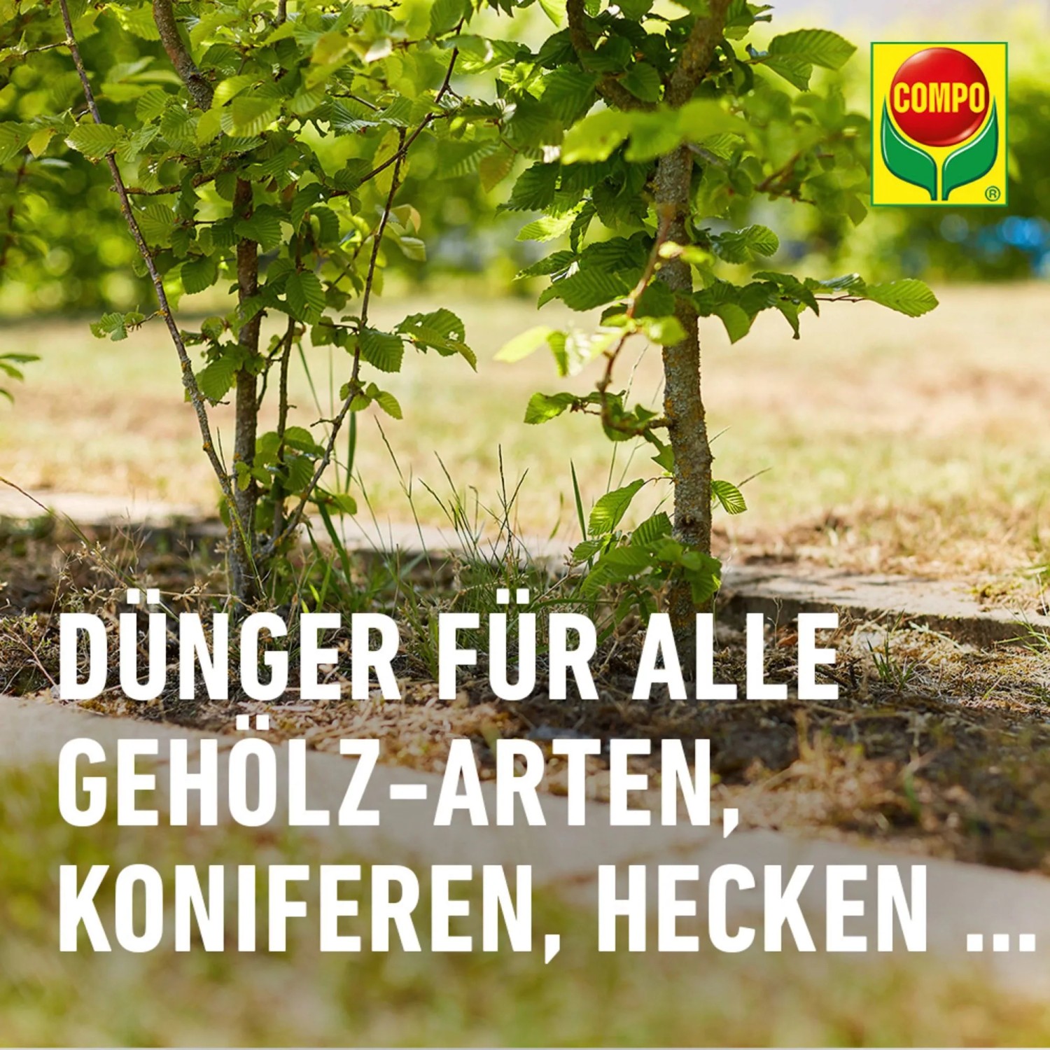 Compo Bio Gehlz Langzeit-Dnger 2 kg kaufen bei OBI
