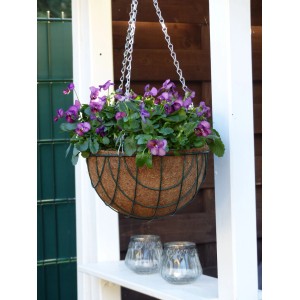 Blumenampel mit Kokoseinlage und lila Stiefmütterchen, hängend an einer Kette.